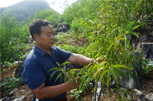 1627456356542197.jpg DSC07854.JPG