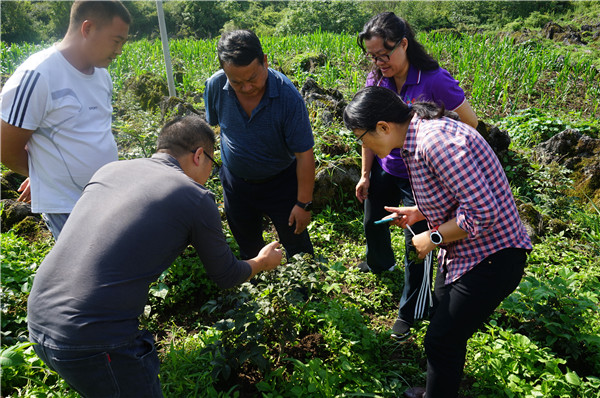 1627456402607270.jpg DSC07976.JPG