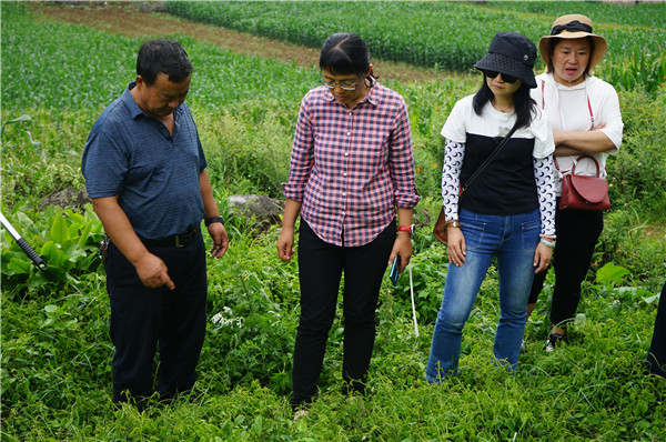 1627456458369131.jpg DSC08058.JPG