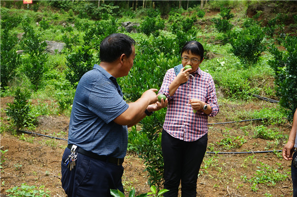 1627456469590807.jpg DSC08095.JPG