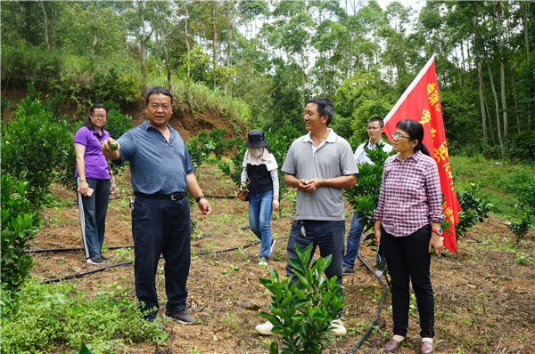 1627456478411798.jpg DSC08099.JPG