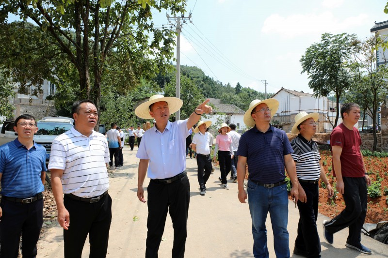 1628477501135199.jpg EV2A1382.JPG