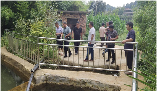 1628491944950775.png _8PM$YR)RQ0DV~@{DNGQ3X8.png