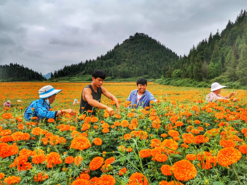 1629788944760086.jpg 微信图片_20210823171258.jpg