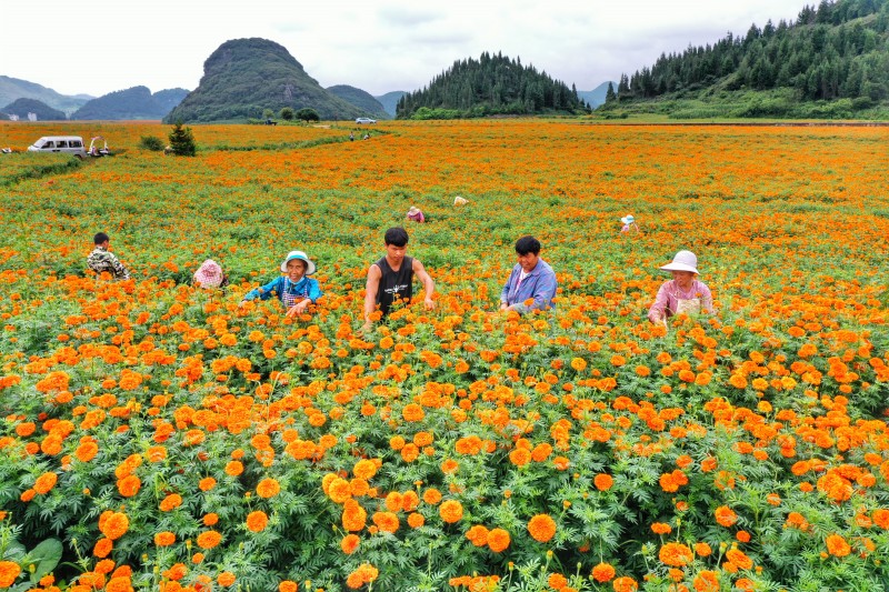 1629788997120511.jpg 微信图片_20210823173132.jpg