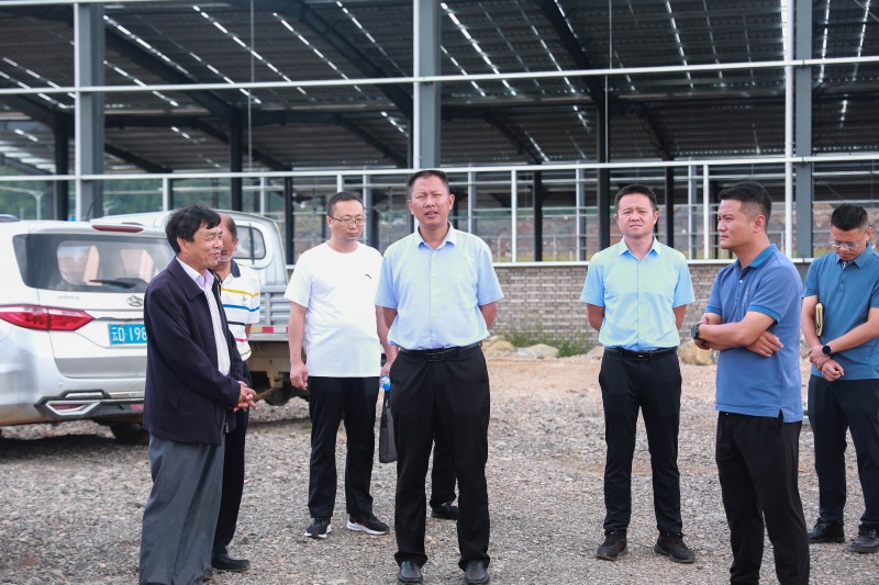 1630282643514874.jpg 7I4A7426.jpg