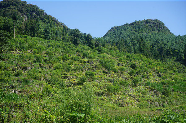 1630548425232063.jpg DSC08618.JPG