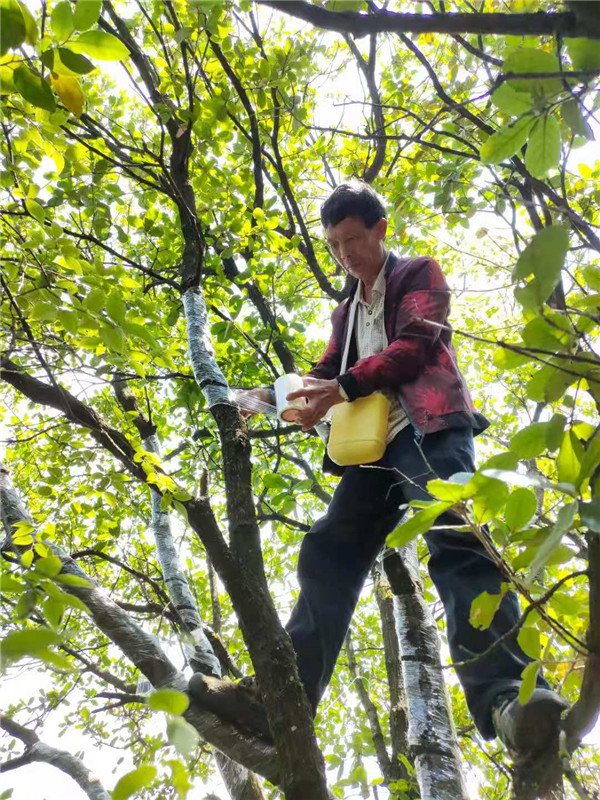 1630548634835425.jpg 微信图片_20210601230814.jpg