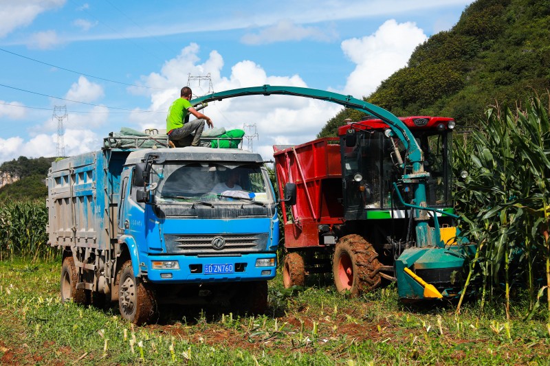 1630914003708030.jpg 7I4A7665.jpg