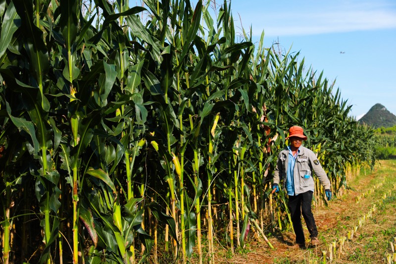 1630914041900682.jpg 7I4A7771.jpg