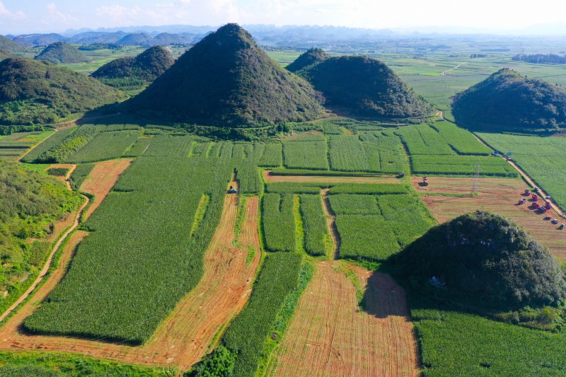 1630914062853434.jpg 微信图片_20210905223257.jpg