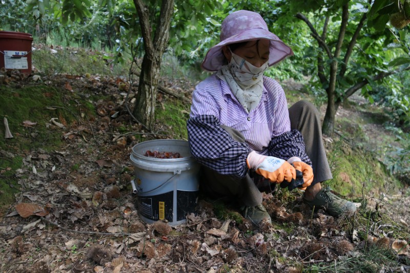 1631239034398584.jpg IMG_1633.JPG