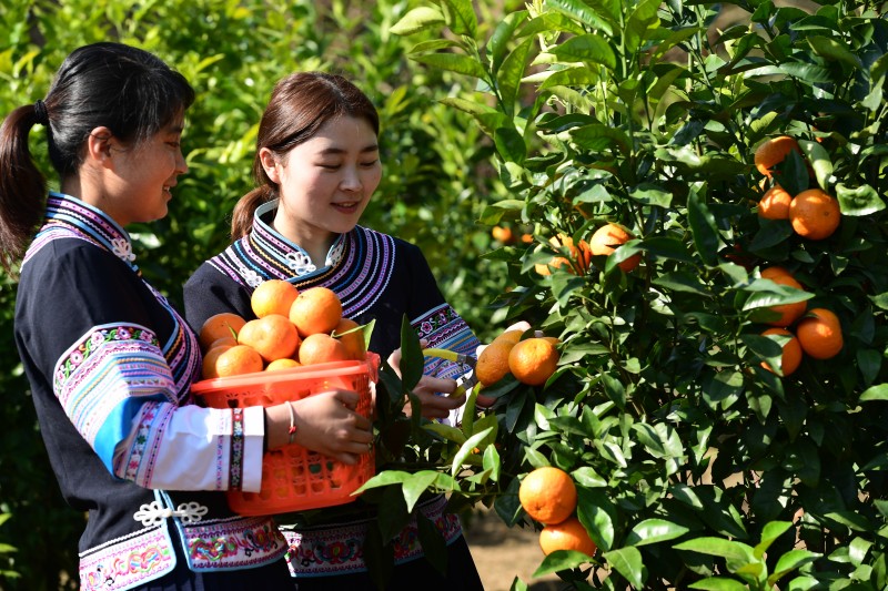 1632963154695182.jpg DSC_8459.JPG