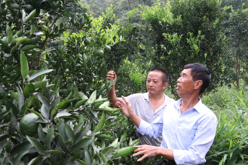 1632963170438702.jpg IMG_1842.JPG