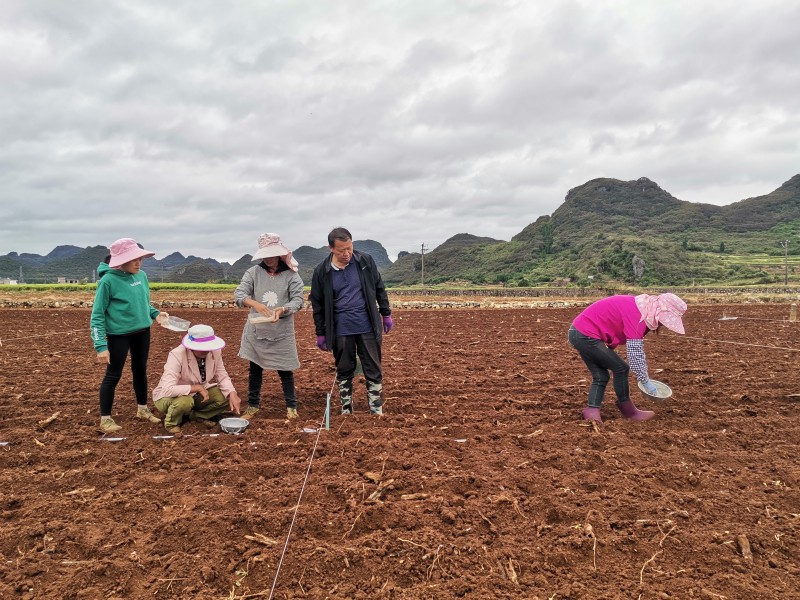 1634171940639779.jpg IMG_20211013_102252.jpg