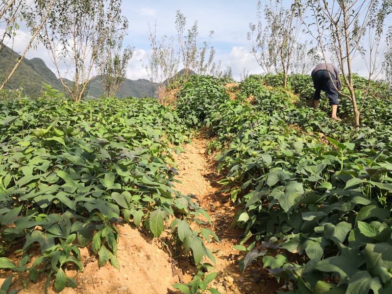 1634604437552742.jpg 微信图片_20211010165748.jpg