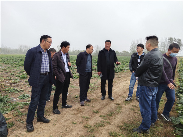 1636506043861954.jpg 微信图片_20211109154355.jpg