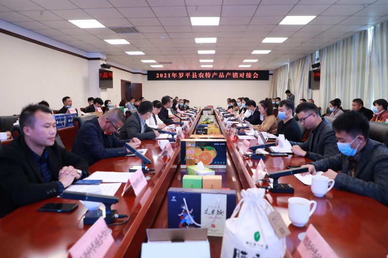 1636679353896096.jpg 罗平产销对接洽谈会现场.JPG