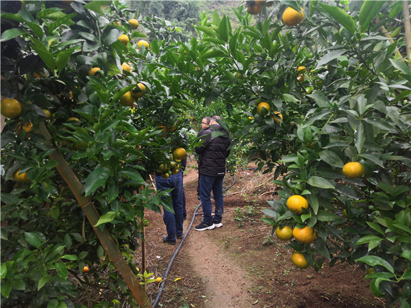 1637203482546946.jpg 微信图片_20211117210407.jpg