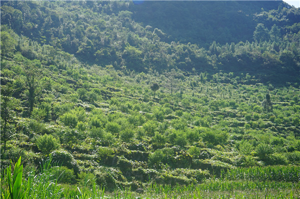 1637629317958693.jpg 3.JPG