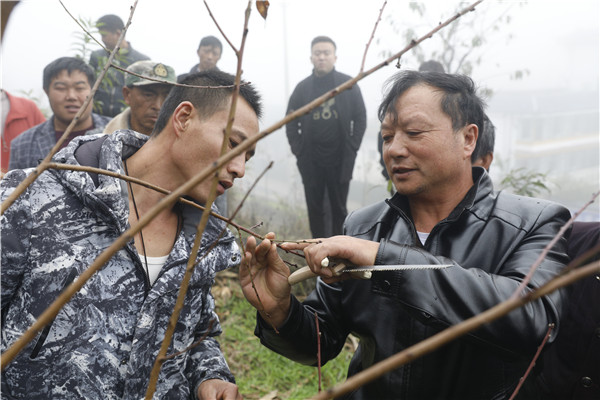 1637629352730083.jpg 5.JPG