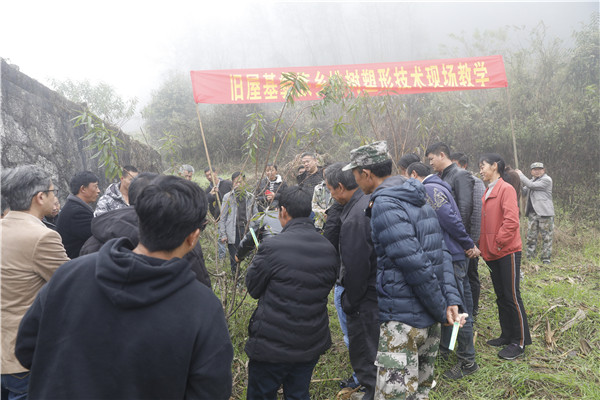 1637629362972912.jpg 4.JPG