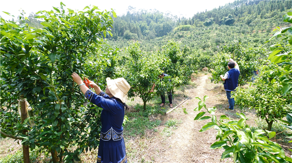 1639017871331823.png 微信截图_20211209093833.png