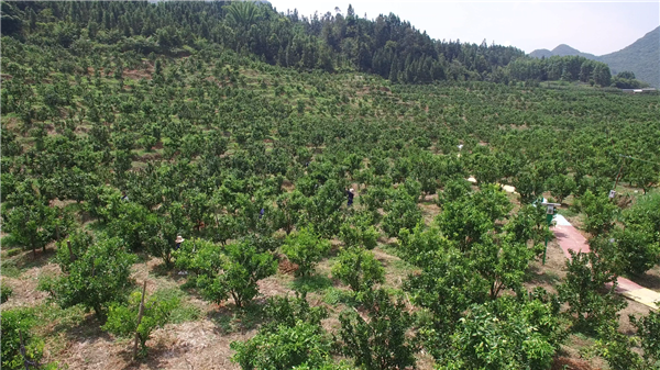 1639017889455397.png 微信截图_20211209094006.png