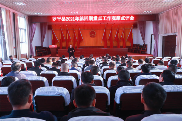 1640224345376550.jpg 7I4A6011.jpg