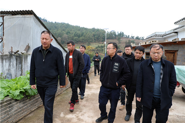 1640568511665257.jpg EV2A2374.JPG