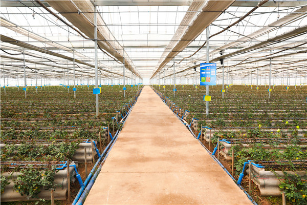 1640746052218121.jpg 7I4A5814.jpg