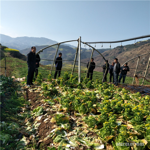 1646357820330396.jpg 1.jpg