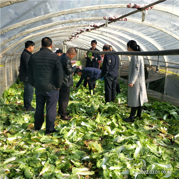 1646357827469373.jpg 2.jpg