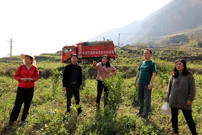 1646793333834772.jpg EV2A4633.JPG