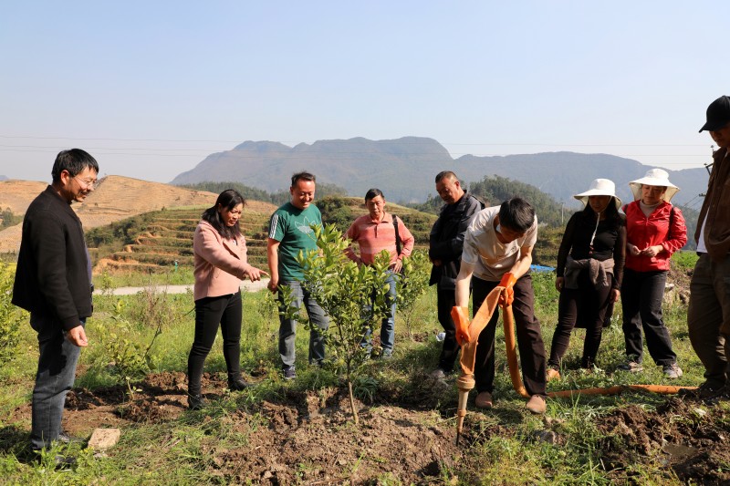 1646793346419393.jpg EV2A4681.JPG