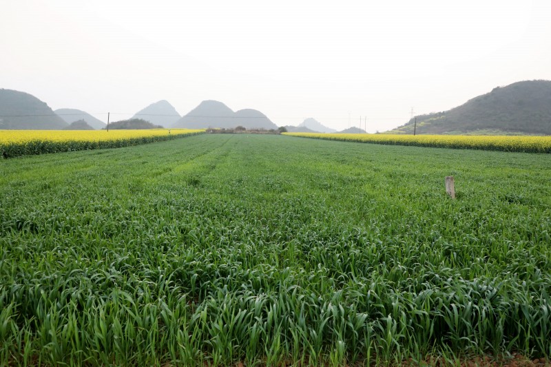 1646793391901148.jpg EV2A4980.JPG