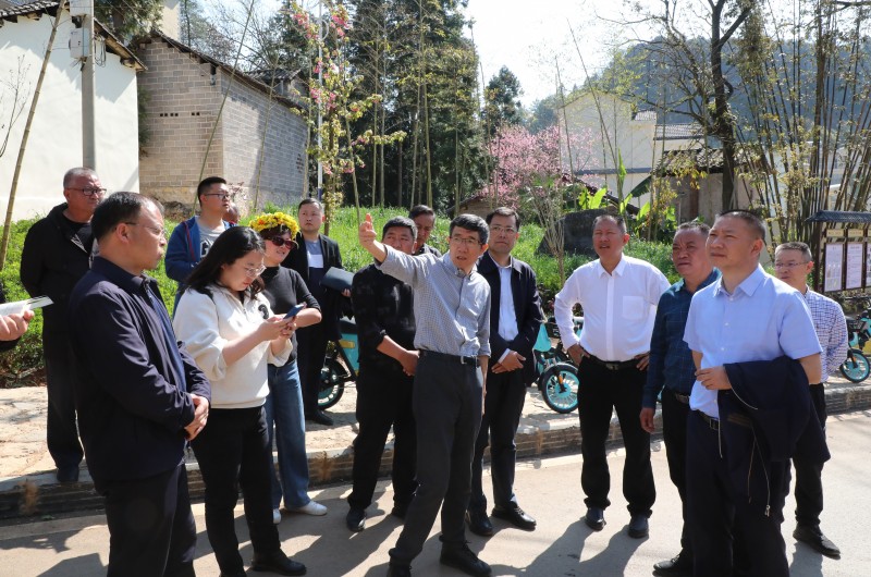 1646873189585086.jpg EV2A6303.JPG