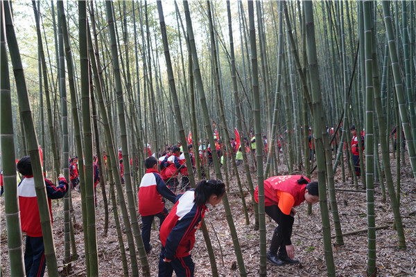 1647219122428146.jpg DSC04311.JPG