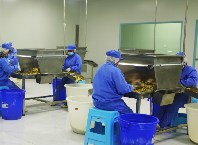 1647220306508168.jpg 6I6A9971.jpg