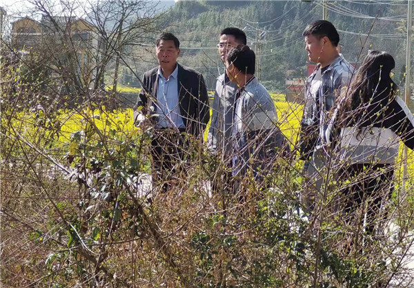 1647399340429116.jpg 图片1:罗平县审计局党组书记、局长带领局班子成员及驻村队员深入联系点大水井乡金箐村委会,开展乡村振兴产业发展调研。.jpg