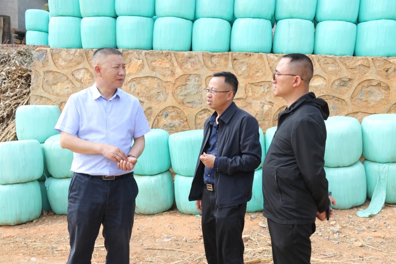 1647917968968451.jpg IMG_8844.JPG