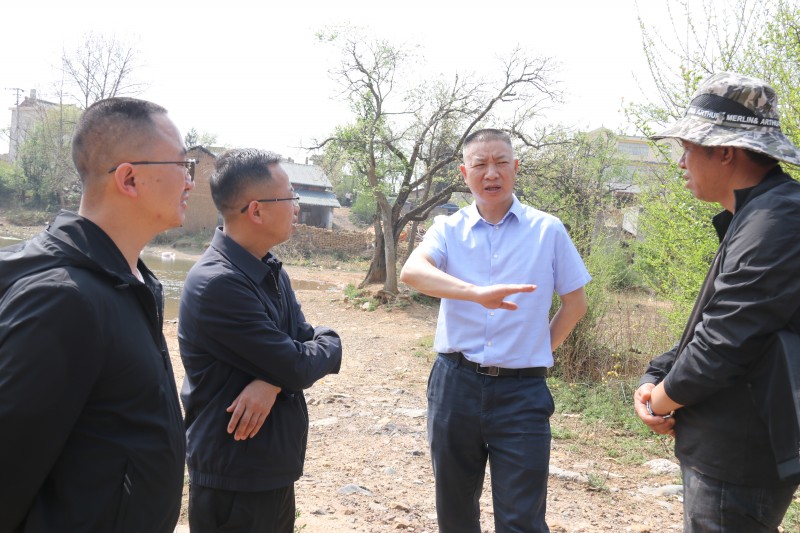 1647918058928491.jpg IMG_8731.JPG