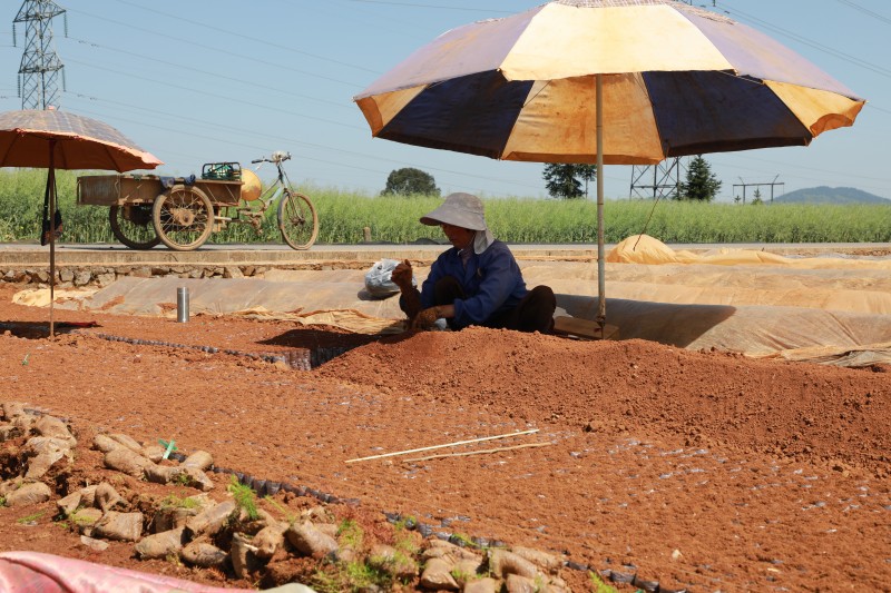 1649649602825576.jpg 6I6A0791.JPG