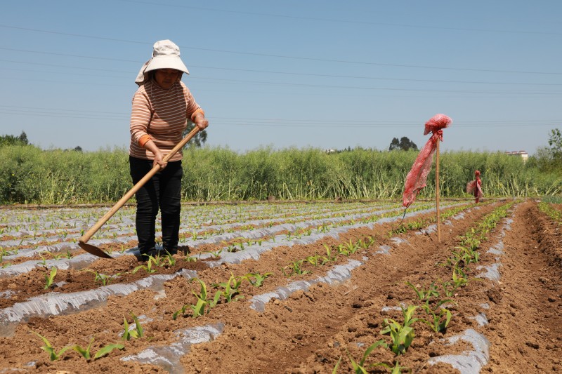 1649649614673250.jpg 6I6A0798.JPG