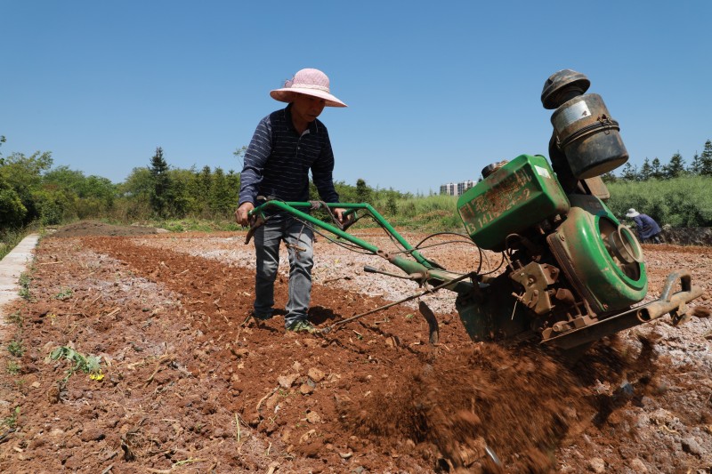 1649649628554569.jpg 6I6A0810.JPG