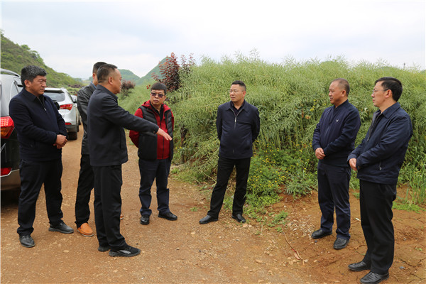 1650504365539327.jpg 1.JPG