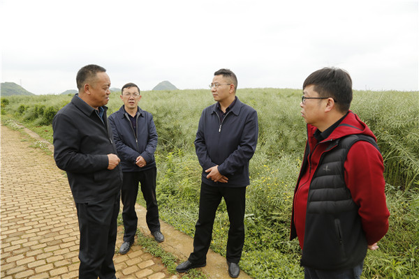 1650504377538436.jpg 2.JPG