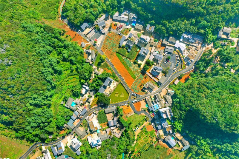 1650590871501470.jpg 板桥镇云上村.jpg