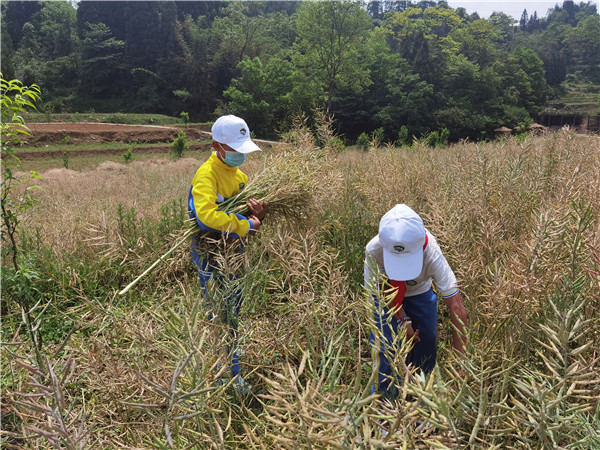 1651713057310606.jpg 微信图片_20220505075049.jpg