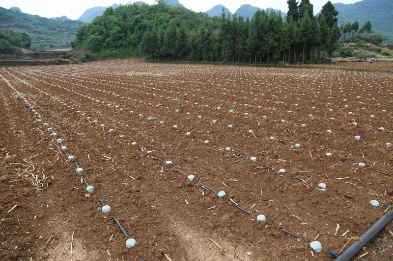 1651884056937377.jpg CG1A0496.JPG